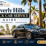 Beverly Hills Black Car Service Guide